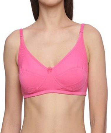 "Hushh" Magenta Comfy Plus Size Regular Use Bra