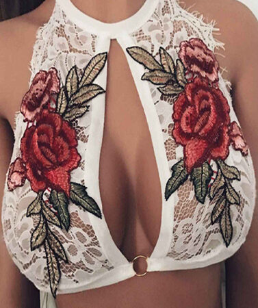 Floral Embroidery Sheer Lace High Neck Crop Top