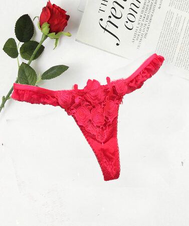 Soleil Sucre Crotch Embroidery Sexy Temptation String Lingerie