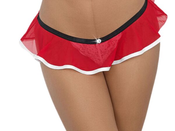 Santa Role Play Erotic Panty