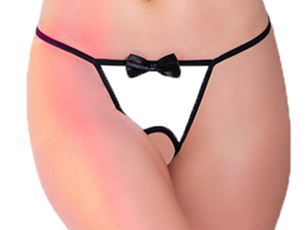 04504-Women's Role Play Erotic Panty
