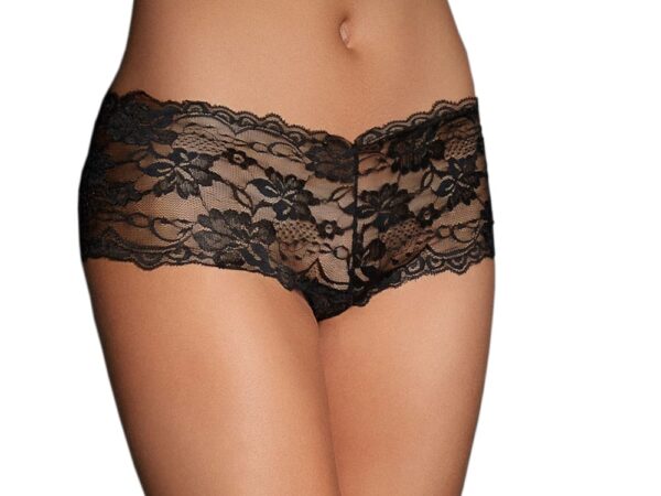 Hipster Panty
